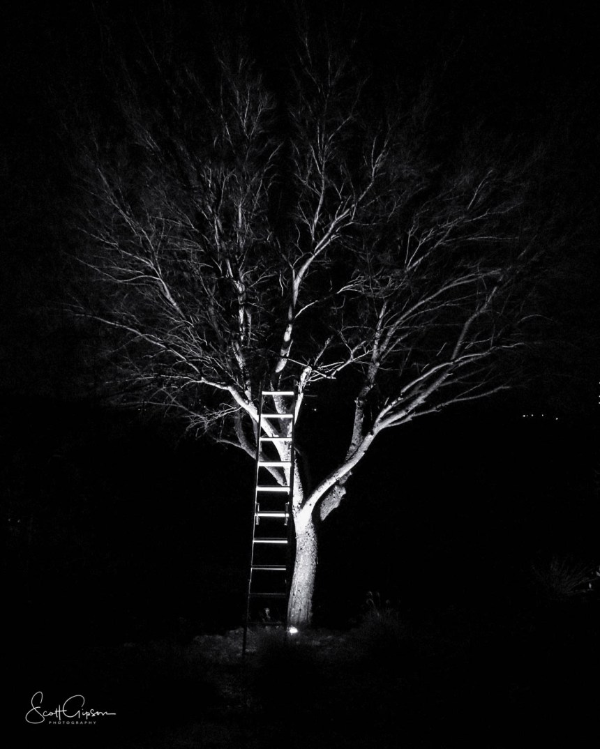 Ladder - 2