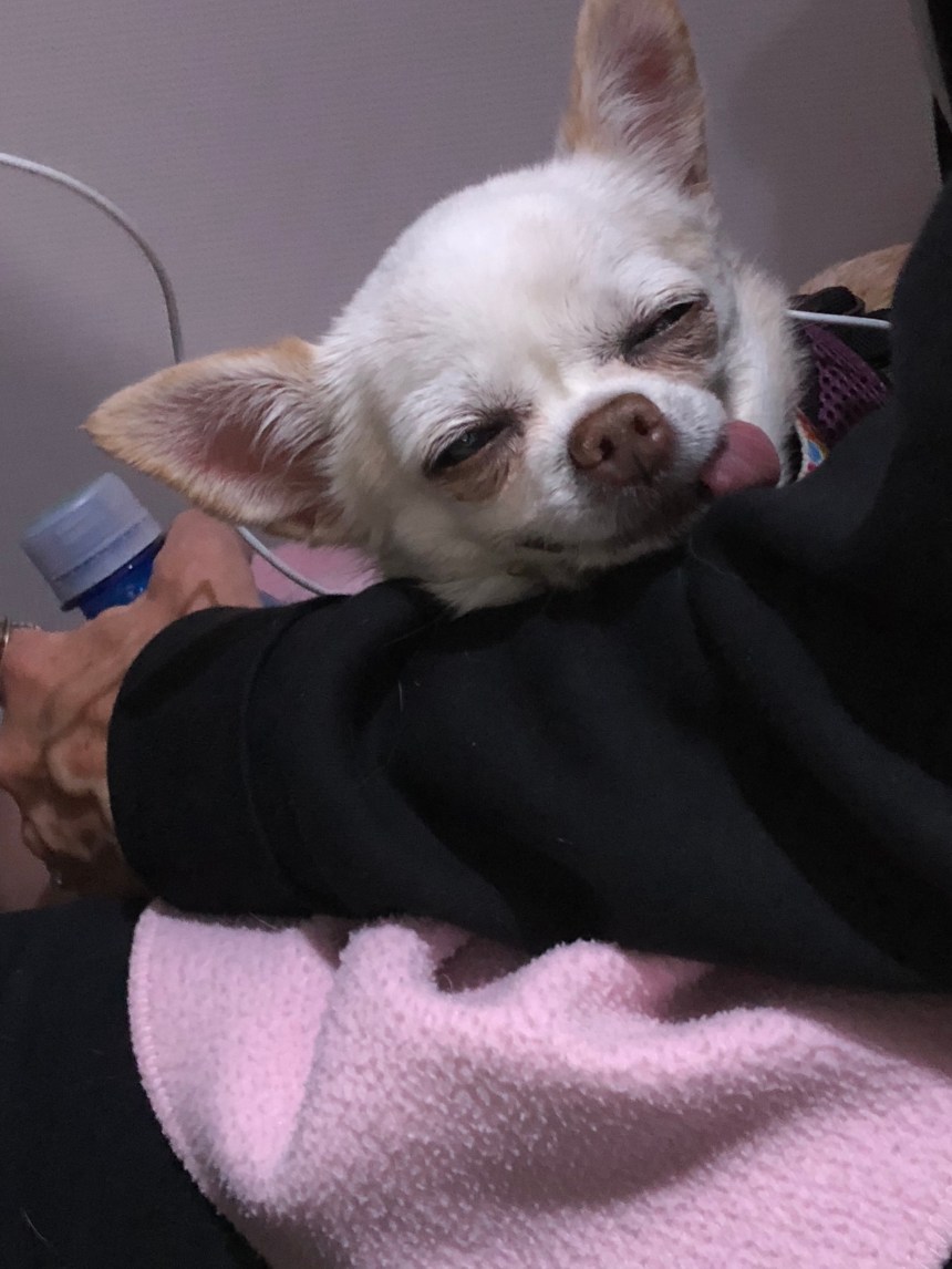 OGjoqUC0SjKor%jJ3mmtAA